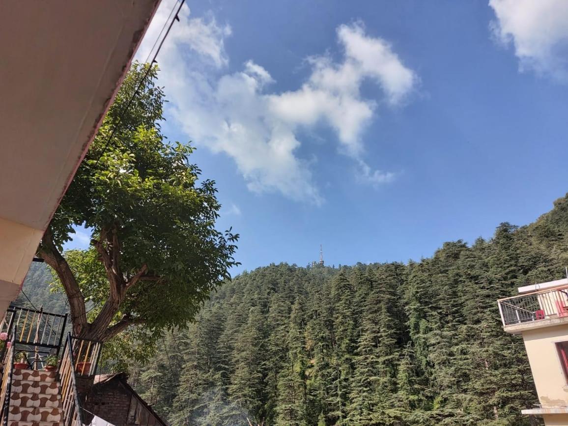 Shimla Pines Homestay Екстериор снимка