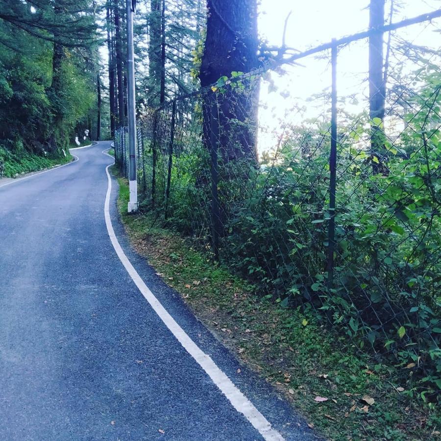 Shimla Pines Homestay Екстериор снимка